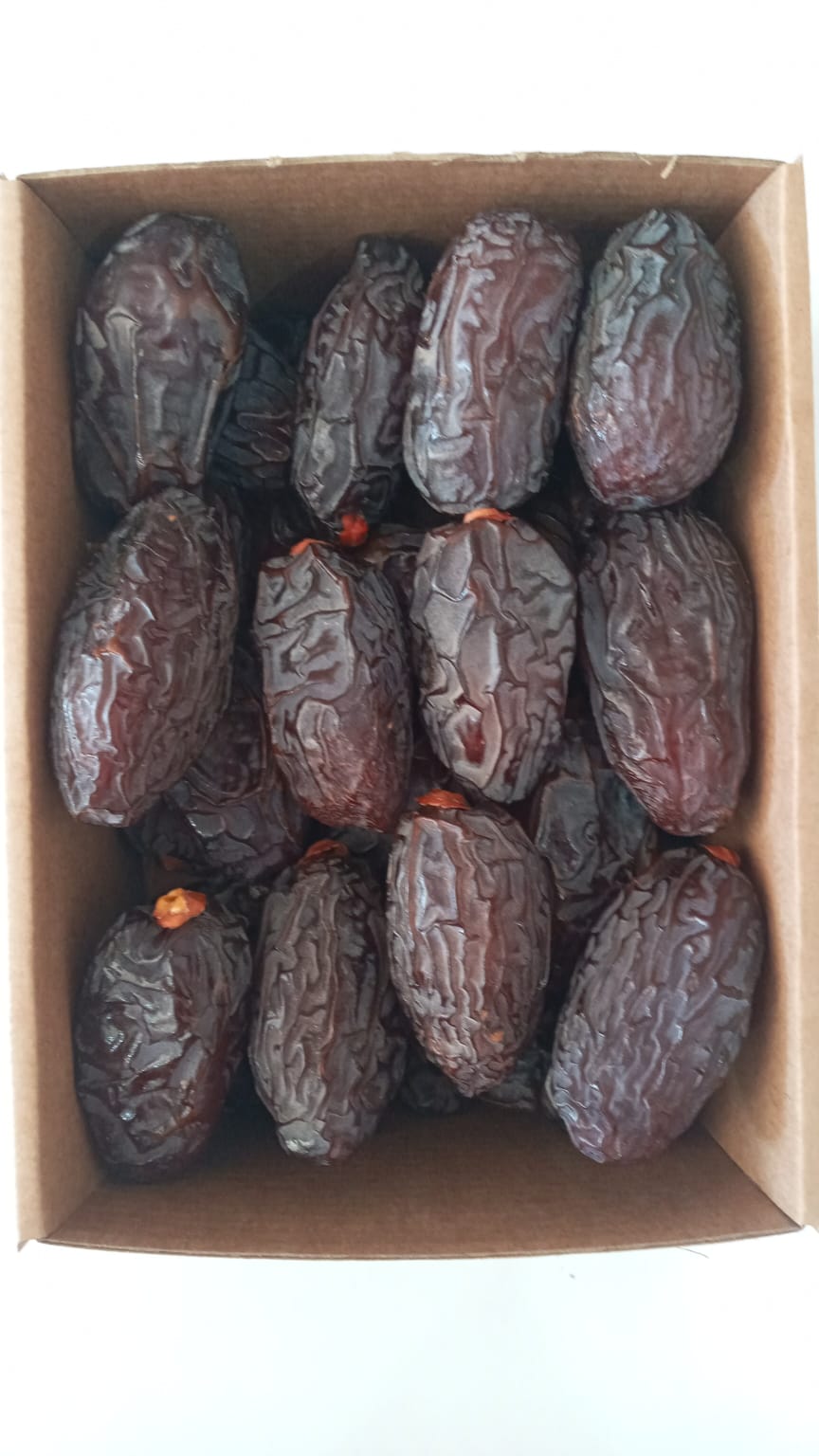 Medjoul-Datteln aus Jericho – Bio & fair